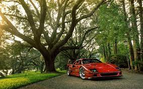 Pin By Nicole On Automotive Ferrari F40 Ferrari Car Ferrari