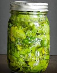 Je Conserve Mes Legumes En Bocaux Et Autres Je Cuisine Mon Potager En 2020 Recettes De Conserve Basilic Conserver Basilic