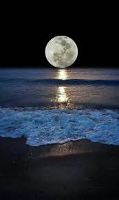 São papéis de parede sensacionais, no estilo pop, moderno e jovem. Papeis De Parede 44 Moon Photography Moonlight Photography Beautiful Moon