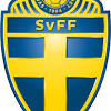 Sweden home jersey en konstinspirerad tröja från sveriges landslag. 1