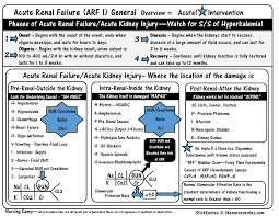Acute Renal Failure Intrarenal Failure 15 1 20 1 Pre Renal And Post Renal Overview Bun Creatinine Ratio Labs Potassium Hyper Nursing Labs Nursing Notes Nurse
