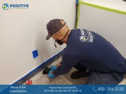 Landlord responsibilities for pest control. Are Nyc Landlords Responsible For Pest Control