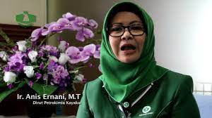 Kawasan industri petrokimia gresik, jl. Pt Petrokimia Kayaku Official Site