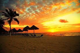 You can download all the image about home and design for free. Sunset Scene At Tropical Beach Wall Mural Wallpaper Canvas Art Rocks