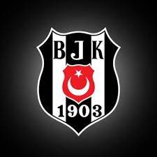 The adjacent table gives investors an individual realtime rating for bjk on several different metrics, including liquidity, expenses, performance, volatility, dividend, concentration of holdings in addition to an overall rating. Besiktas Jk Voleybol
