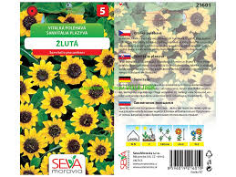 Image result for foto Vitálka