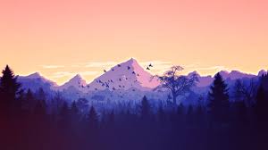 Check out this fantastic collection of cool 4k quality wallpapers, with 24 cool 4k quality background images for your desktop, phone or tablet. 70 Desktop 4k Wallpaper 2021 Free Download