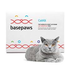 Depending on what you want to this cat was a total champ through the sample collection process for the cat dna test kit. The World S First Ever Cat Dna Test Is Coming To Ces 2019