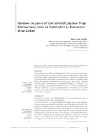 Image result for Rhabdophyllum affine