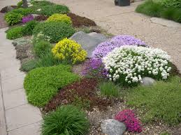 Lush Boulevard Garden In Spring Would Need Some Hearty Stuff To Survive Bloom In Summer Sedum Lav Small Garden Shrubs Sidewalk Landscaping Lawn And Garden
