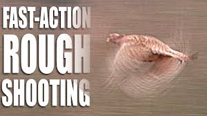 See actions taken by the people who manage and post content. Fast Action Rough Shooting Youtube