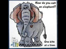 How To Eat An Elephant Goal Setting Action Plans Taken To The Next Level By Vincent Polisi Elephant Quotes Elephant Powerful Quotes