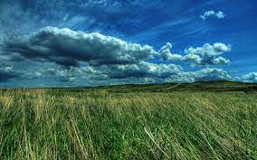 Hd Hp Wallpapers Wallpaper 1600 1000 Backgrounds For Hp Laptops 42 Wallpapers Adorable Wallpa Landscape Wallpaper Beautiful Landscapes Landscape Pictures