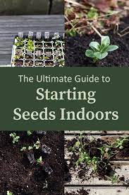 Starting Vegetable Seeds Indoors Why What You Need And How The Maker Makes Starting Seeds Indoors Starting Vegetable Seeds Seed Starting