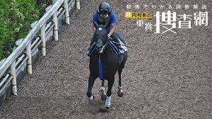 6月20日(日)に行われるマーメイドステークス2021の追い切り情報です。 各馬の状態はもちろん、 過去の好走馬がどのような追い切りをしていたのか、 今年その傾向に当てはまるのはどの馬かもチェックしていきます。 pr. Pjtkxz3x6rk7lm