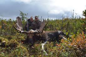 Fly In Eastern Canadian Moose Hunt 2x1 Newfoundland And Labrador Canada Bookyourhunt Com