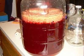 Struguri bine copti, de preferat din diverse soiuri. FÄcand Drojdie De Vin AcasÄ FÄcand Drojdie De Vin AcasÄ