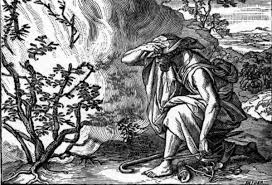 Book of moses textual criticism 3: Moses And The Burning Bush Bible Story Explained