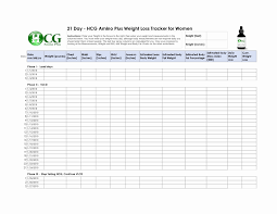 10 excel weight loss tracker lycee st louis