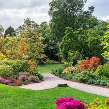 Maybe you would like to learn more about one of these? Plantas De Exterior Muy Resistentes Y De Facil Mantenimiento Foto 1