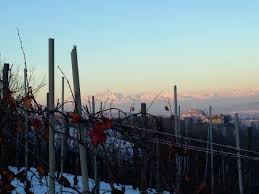 Piedmont With Giorgio Rapicavoli