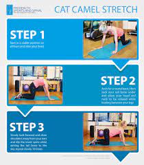 The controller works with the fail fast principle, that if any routes fail to. Back Care Tip Cat Camel Stretch Sportsandspinal Hk