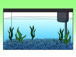 Konosuba aquarium phantom of the kill anime, aqua, blue, face png. How To Draw Fish Tank For Kids Drawing For Kids