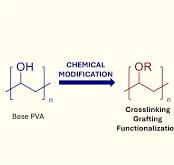 Engineering Functional PVA: A Comprehensive Review of ...