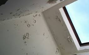 Step by step how to fix / repair flaking peeling and bubbled paint. What To Watch Out For When Painting Your Bathroom Cam Painters