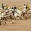 See camel racesin dubai, united arab emirates. Https Encrypted Tbn0 Gstatic Com Images Q Tbn And9gcqedv9kfknq8fom0cpsbrrppabj4 V9uhhi6mzfkcf0fzgmpwal Usqp Cau