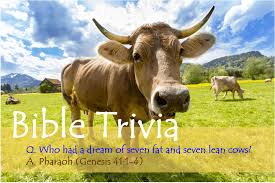 Displaying 22 questions associated with risk. Bible Trivia 300 Series Bible Iq