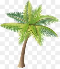 More icons from this author. Palm Tree Png Palm Tree Silhouette Palm Tree Leaf Palm Tree Vector Palm Tree Beach Black Palm Tree Palm Tree Black Palm Tree Outline Sunset Palm Tree Palm Tree Stencil Blue