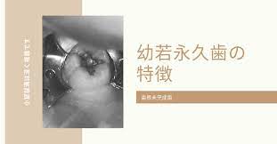 幼 若 永久歯
