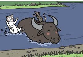 With strong intuition and quick response, they can. What Are Chinese Zodiac Animals Answered Twinkl Teaching Wiki