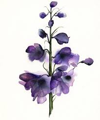 Your watercolor flowers stock images are ready. Delphinium Botanical Print Watercolor Botanical Watercolor Etsy Watercolor Flowers Watercolor Paintings Botanical Art