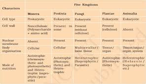 Animal cells range from 10 to 30 micrometers in length, while plant cells range from 10 and 100 micrometers in length. Biological Classification