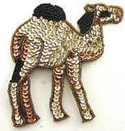 We provide happy, healthy camels for living nativity scenes. Camel