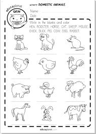 Puedes hacer los ejercicios online o descargar la ficha como pdf. Animales Domesticos Ficha Imprimible Infantil Gratis Educaplanet Apps