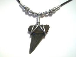 Pin On Shark Tooth Jewelry