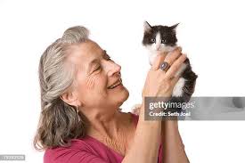 503 Seth Sweet Stock Photos, High-Res Pictures, and Images