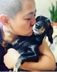 Grief and support for loss of a beloved pet