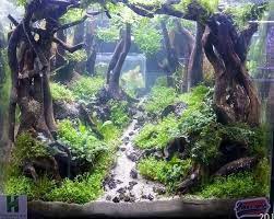 Aquarium Marin Acuario Marino Aquarius3web Aquarius3web Twitter Acuario Peces De Acuario Acuario Marinos