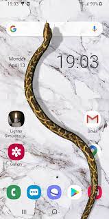 Shock your friends with a sudden serpent surprise! Snake On Screen Hissing Joke Isnake For Android Apk Download