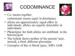Codomiance in genetics refers to:. 2 Codominance Incomplete Dominance And Multiple Alleles Compiled By Siti Sarah Jumali Level 3 Room 14 Ext Ppt Download