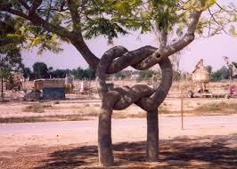 Image result for ‫عکس از روز سیزده بدر‬‎