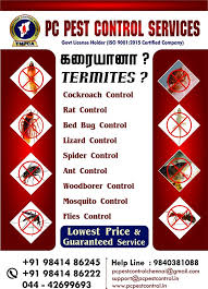 Commercial pest control in chennai. Pest Control Services In Chennai Pest Control In Chennai