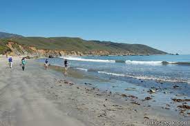 This park boasts miles of trails, fishing, campsites, and beaches. Andrew Molera State Park Trail Camp Big Sur Hikespeak Com