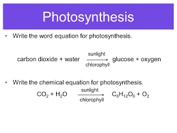 Energy Flow Photosynthesis Cellular Respiration Ppt Video Online Download