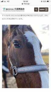 — ヴェルサイユリゾートファーム/ヴェルサイユファーム (@versailles_farm) january 1, 2019. ãƒªã‚¢ãƒ« ã‚¿ã‚¤ã‚­ã‚·ãƒ£ãƒˆãƒ« ã¯ã‚¢ãƒ¡ãƒªã‚«ã¡ã£ãã§bbqå¥½ããªã®