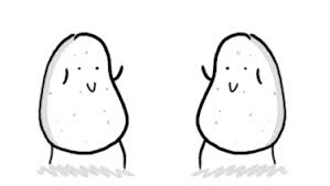 A potato flew around my room want to read (all 6). Streamelements C4taterz
